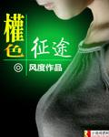 宦海征途秦浪姚平