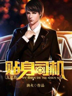 女神的贴身司机全文免费