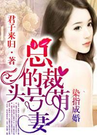 染指婚姻总裁的头号萌妻沈新玉