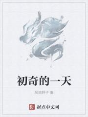 一天努力初几