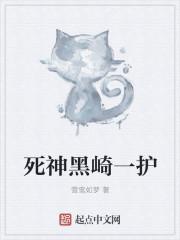 死神黑崎一护招式