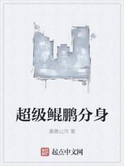 超级鲲鹏什么时候出的