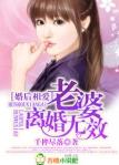 婚后相爱老婆离婚无效全文免费