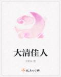 大清佳人完整版